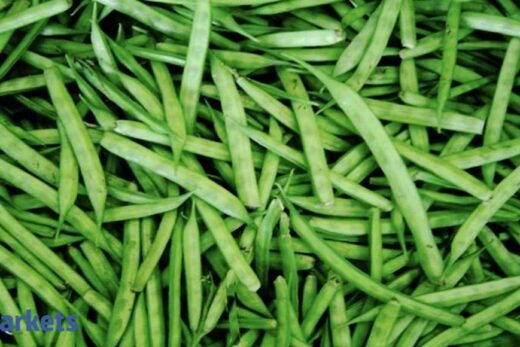 Guar gum futures ease on low demand