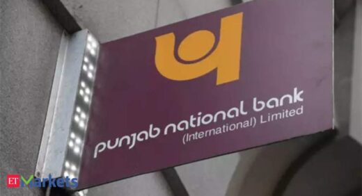 PNB QIP issue falls short of target by 46%