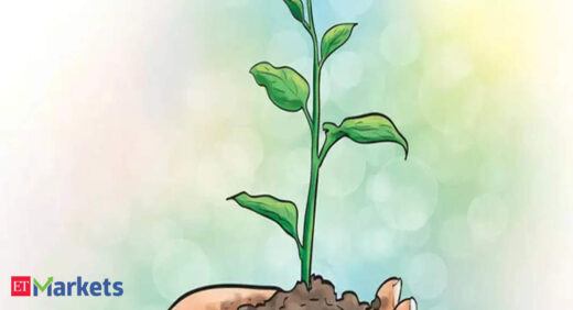 ICICI Prudential AMC to plant 50,000 tree saplings on behalf of its ESG fund investors