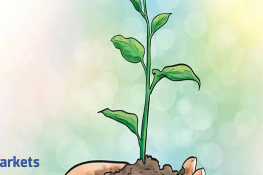 ICICI Prudential AMC to plant 50,000 tree saplings on behalf of its ESG fund investors