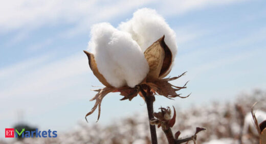 MCX cotton deposits up 285% in December 2020