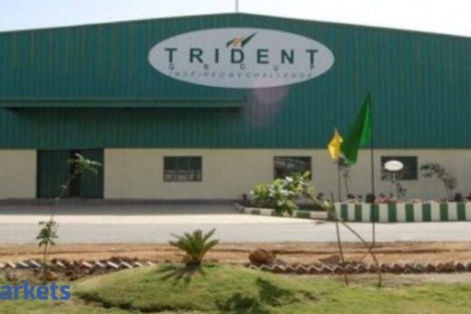 Trident Group to distribute ESOPs worth Rs 200 cr in next fiscal