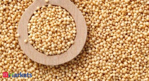 Guar seed futures rise by Rs 8 on fresh bets