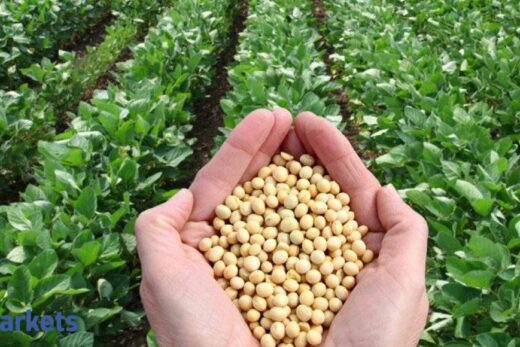 Soybean futures slip on muted demand