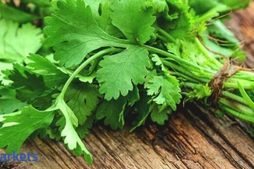 Coriander futures gain over 1% on spot demand