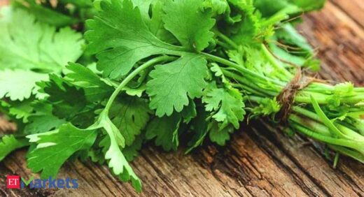 Coriander futures jump 4% on spot demand