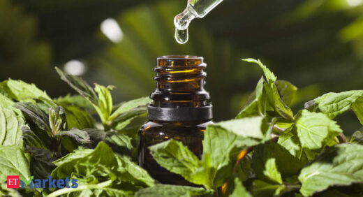 Mentha oil eases amid profit-booking; analysts suggest a 'buy'