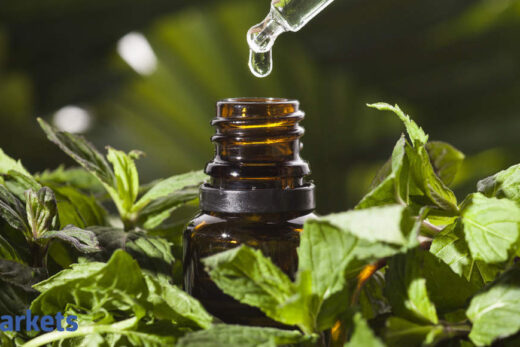 Mentha oil eases amid profit-booking; analysts suggest a 'buy'