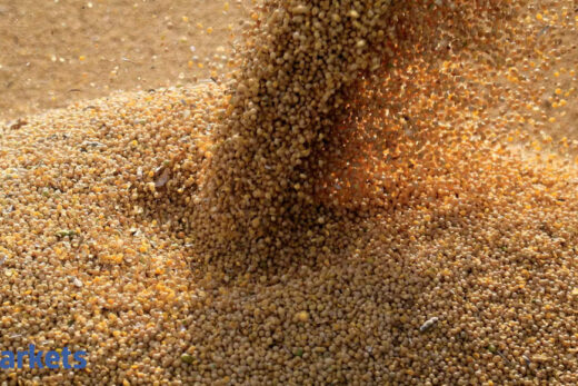 Soybean futures gain as traders take fresh positions