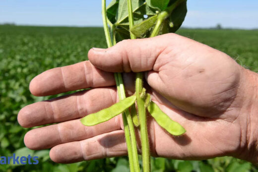 Soybean futures jump 2% on pickup in spot demand