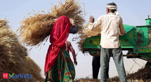 Wheat procurement: Punjab to begin wheat procurement from April 10; farmers to be paid in bank a/cs