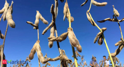 Soybean futures drop as participants trim positions