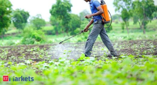 India Pesticides IPO: India Pesticides IPO opens: Should you subscribe?