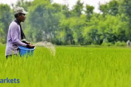 National Fertilizers posts loss of Rs 10 cr in Q4