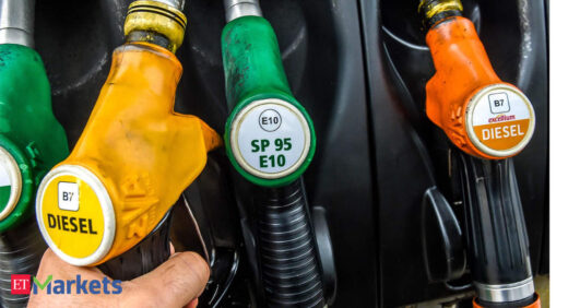 Steady pump rate halts petrol and diesel price rise for the second day