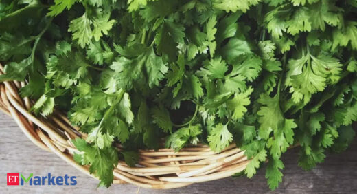 Coriander futures rise on demand