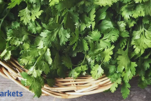 Coriander futures rise on demand