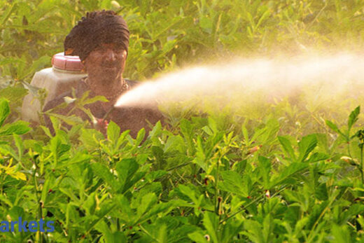 Nagarjuna Fertilisers & Chemicals Q4 results: Co reports net loss at Rs 219 cr