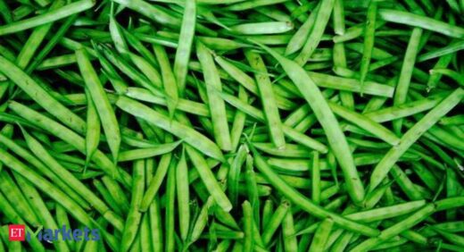 Guar gum futures gain on spot demand