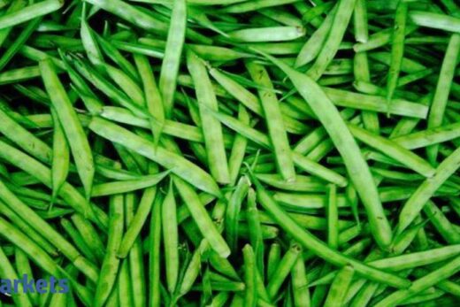 Guar gum futures gain on spot demand