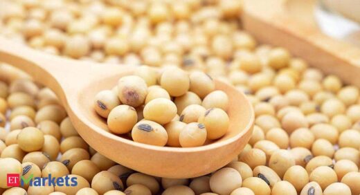 Soyabean futures fall on rumours about soyameal imports