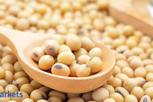 Soyabean futures fall on rumours about soyameal imports