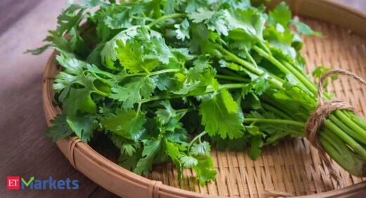 Coriander futures rise on spot demand