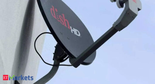 Dish TV Rs 1,000-cr rights issue critical for biz survival: Official