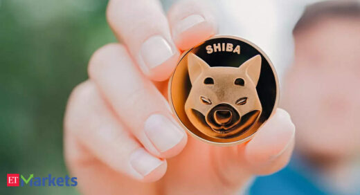 Shiba Inu coin surges 55% after Musk's tweet, volumes zoom 770%