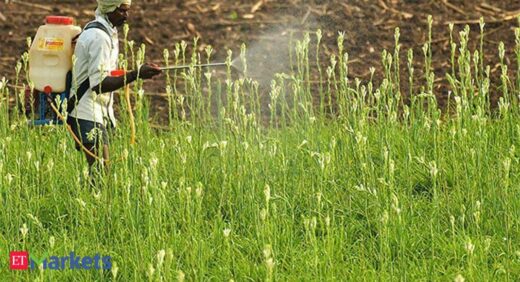 National Fertilizers Q2 results: National Fertilizers Q2 results: Net profit declines 81% to Rs 16 cr