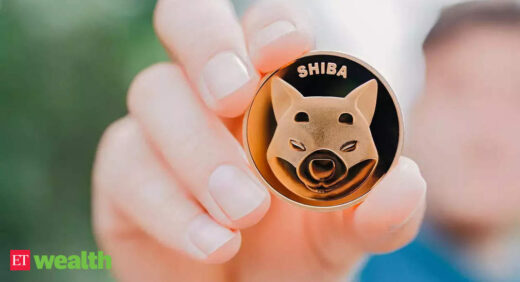 Shiba Inu price today: Meme crypto coin that's turning many Indians into crorepatis overnight