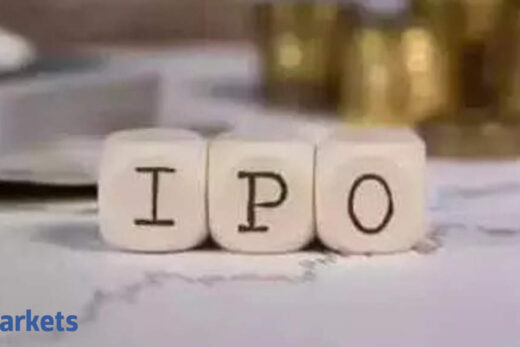 Tega anchor investors: Tega Industries mobilises Rs 186 crore from anchor investors ahead of IPO