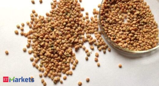 Guar seed trades flat in futures market