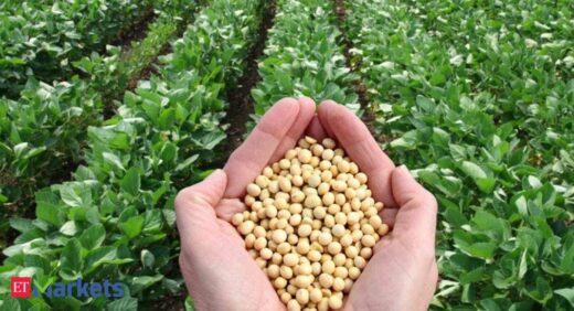 Soybean futures slip on muted demand