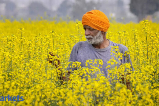 Mustard seed trades 25% above MSP; farmers make an extra buck