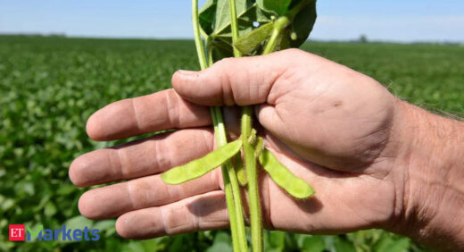 Soybean futures jump 2% on pickup in spot demand