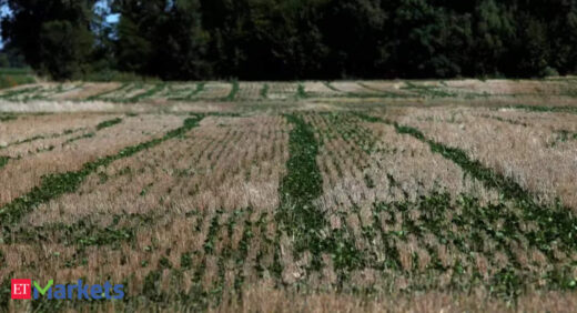 Soybean futures move higher on firm spot demand