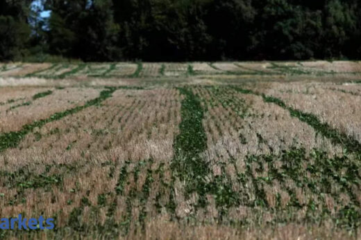 Soybean futures move higher on firm spot demand