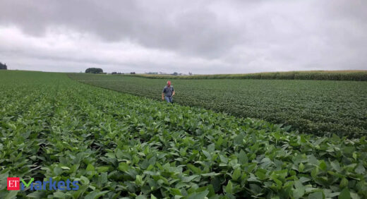 Soybean futures surge 3% amid strong demand