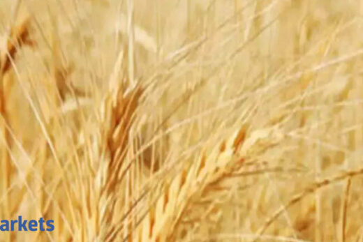 Wheat procurement: Centre procures 3.5 lakh tonnes of wheat at MSP in 2021-22 marketing season; Haryana tweaks rules