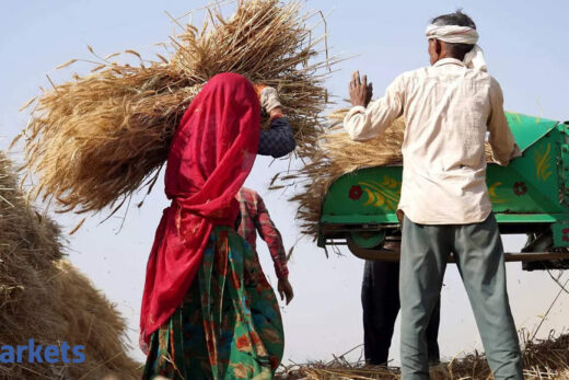 Wheat procurement: Punjab to begin wheat procurement from April 10; farmers to be paid in bank a/cs