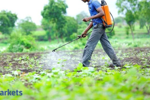 India Pesticides IPO: India Pesticides IPO opens: Should you subscribe?